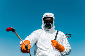 Outdoor Pest Control in Harvey, IL